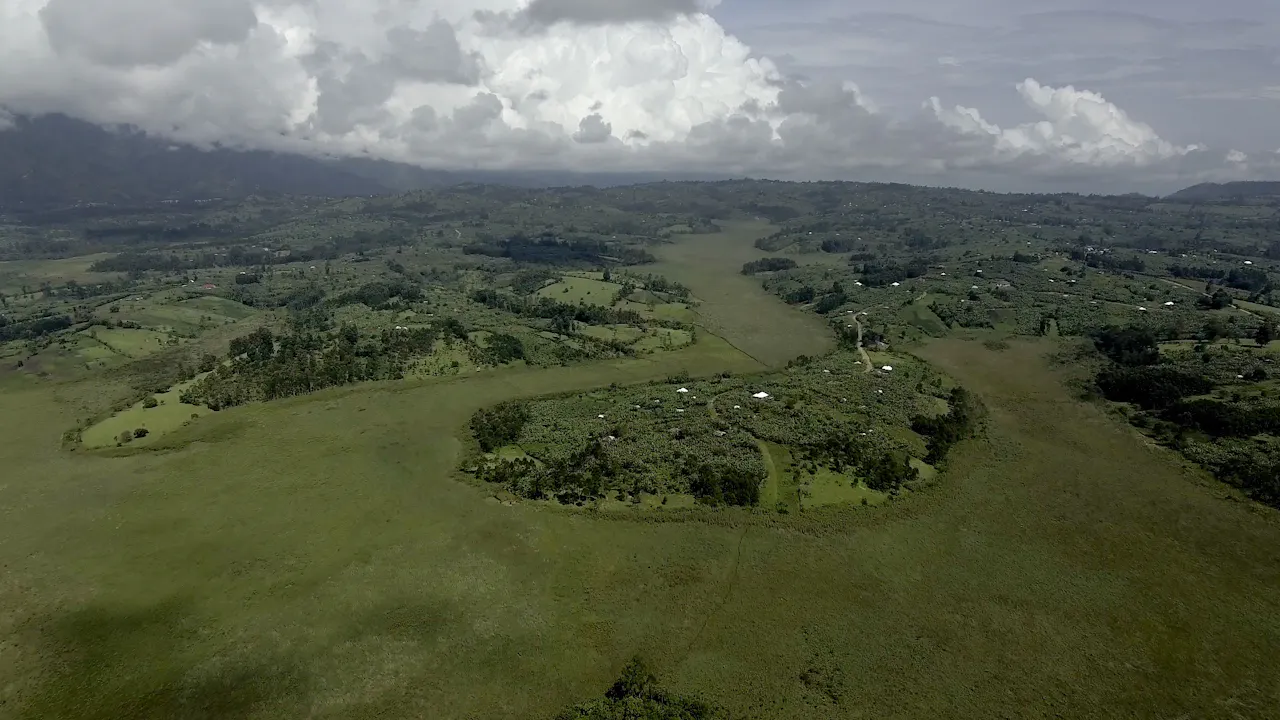 Crazy Money (EN, NL, FR)