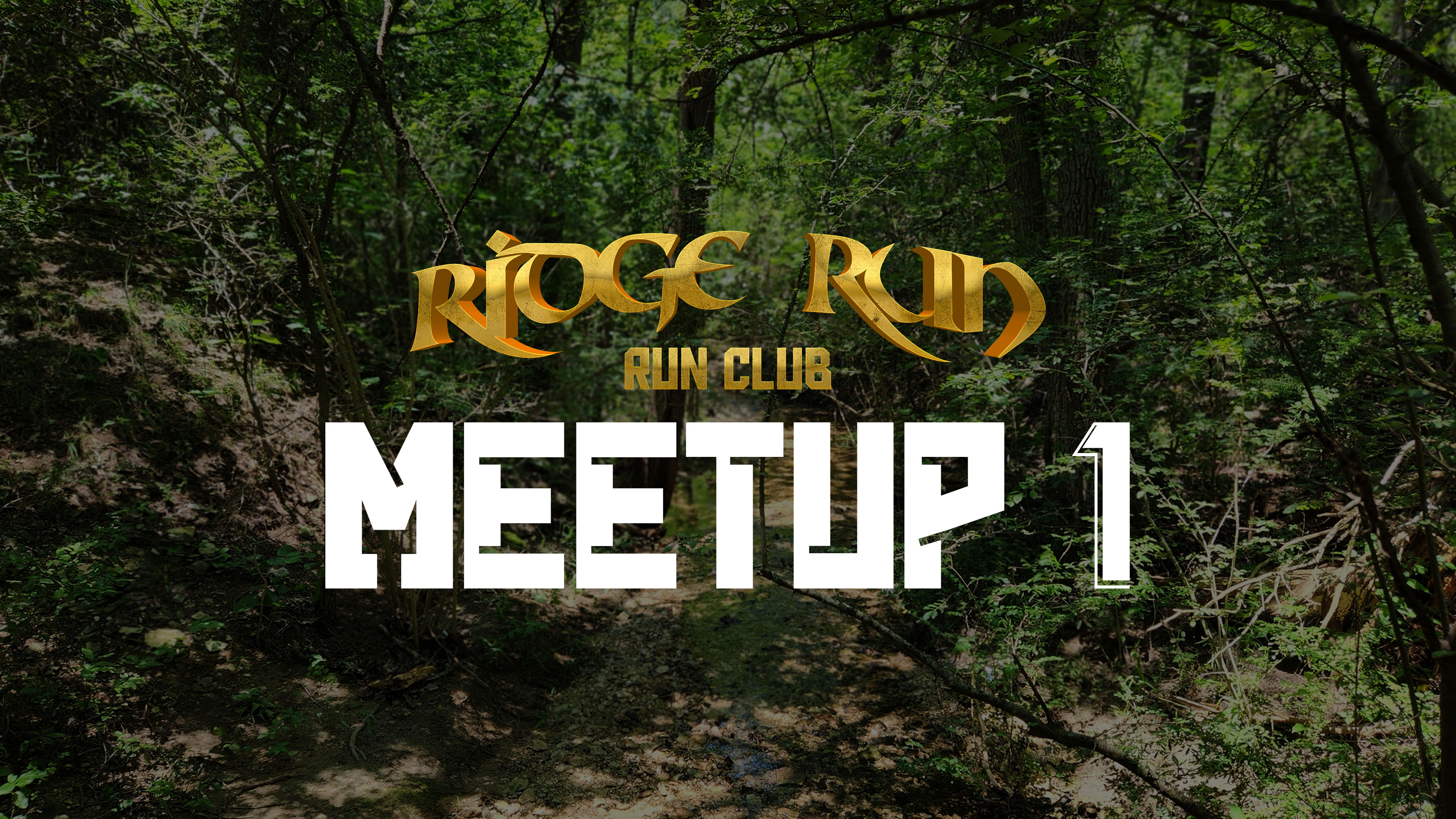 Meetup 1