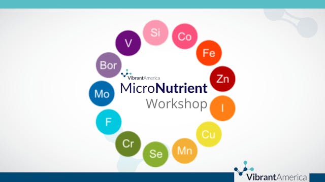 Micronutrient Workshop Recordings