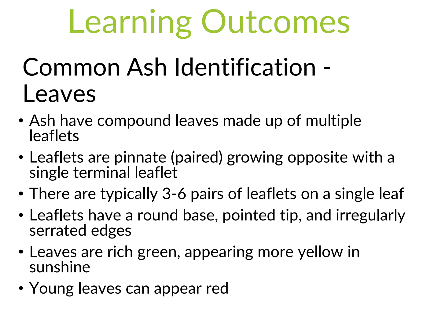 Learning outcomes - Ash dieback pdf