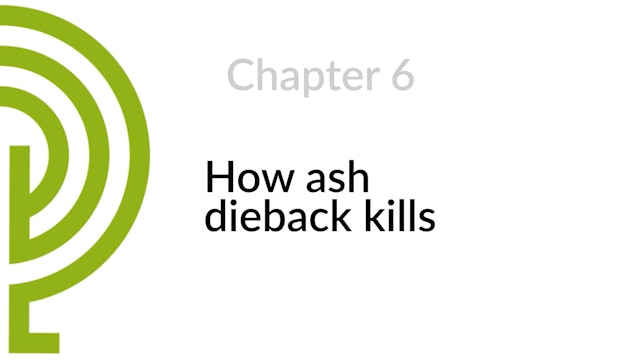 Chapter 6 - How ash dieback kills