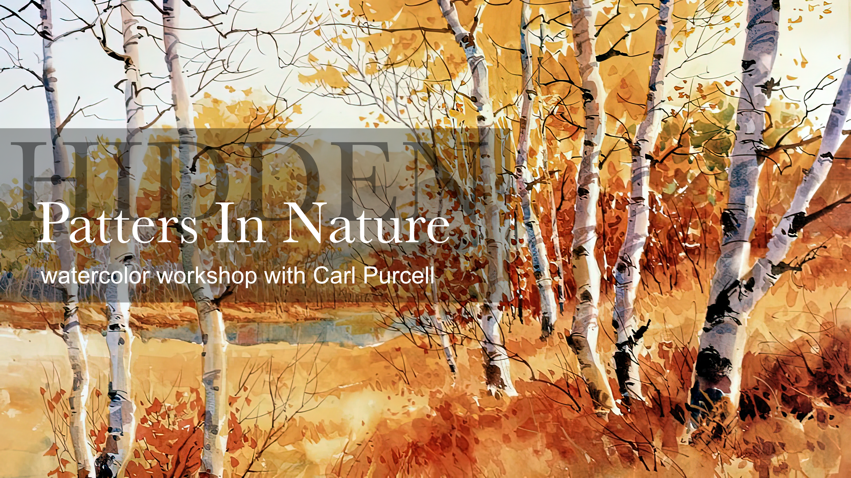 Hidden Patterns In Nature - Workshop