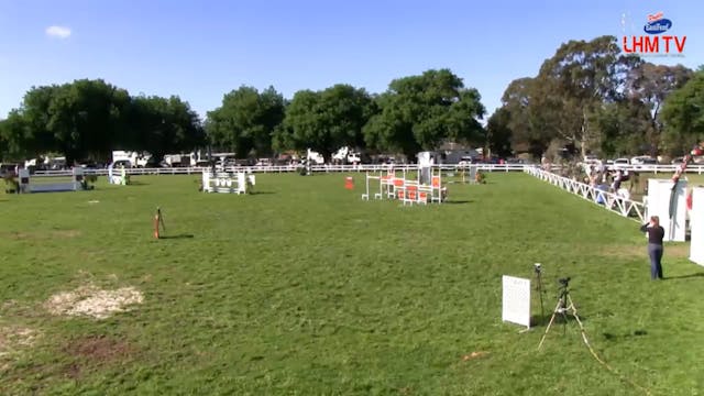 2013 Sale World Cup Qualifier