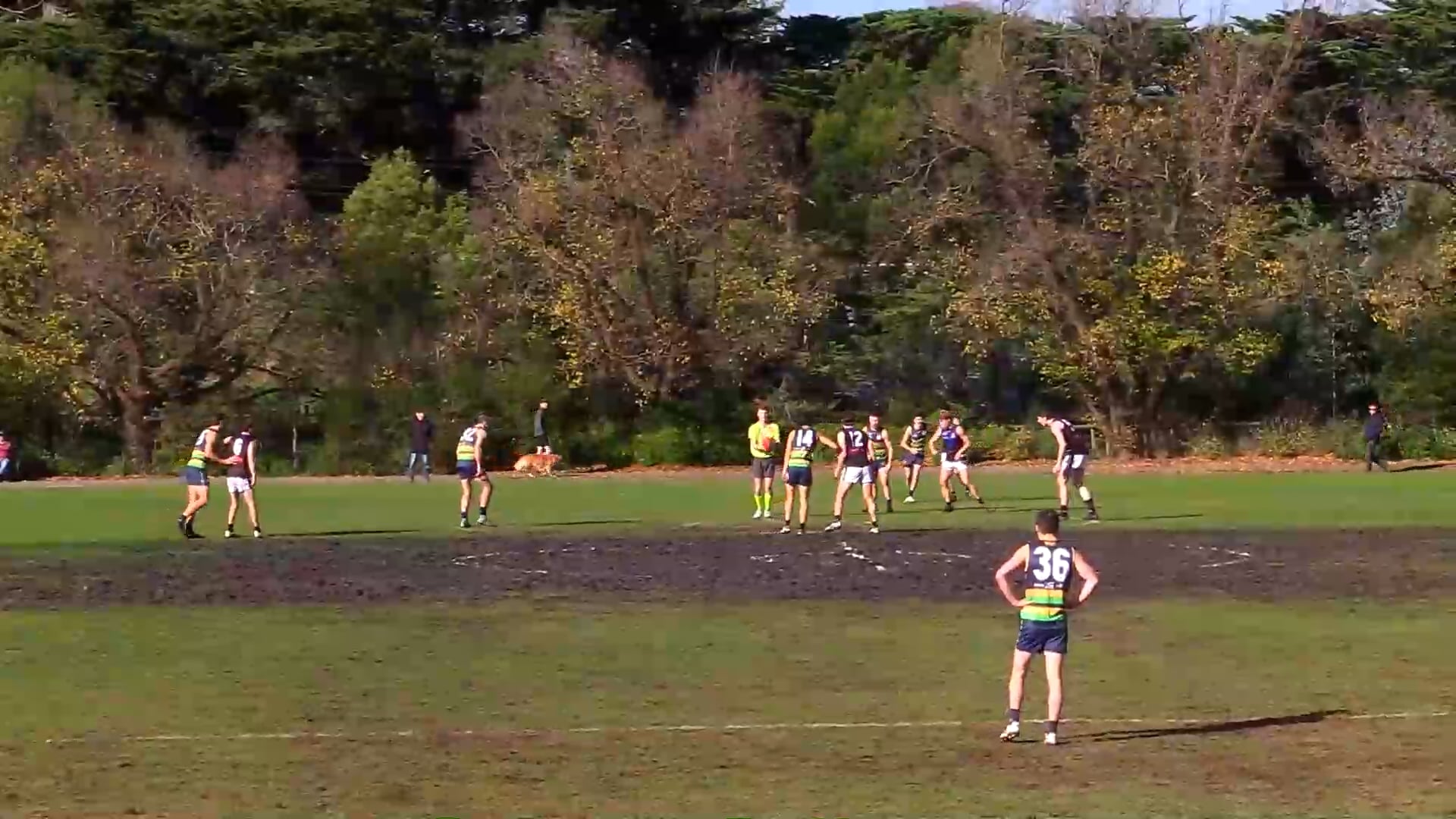 2024 RD9 PREM St Kevins vs. University Blacks