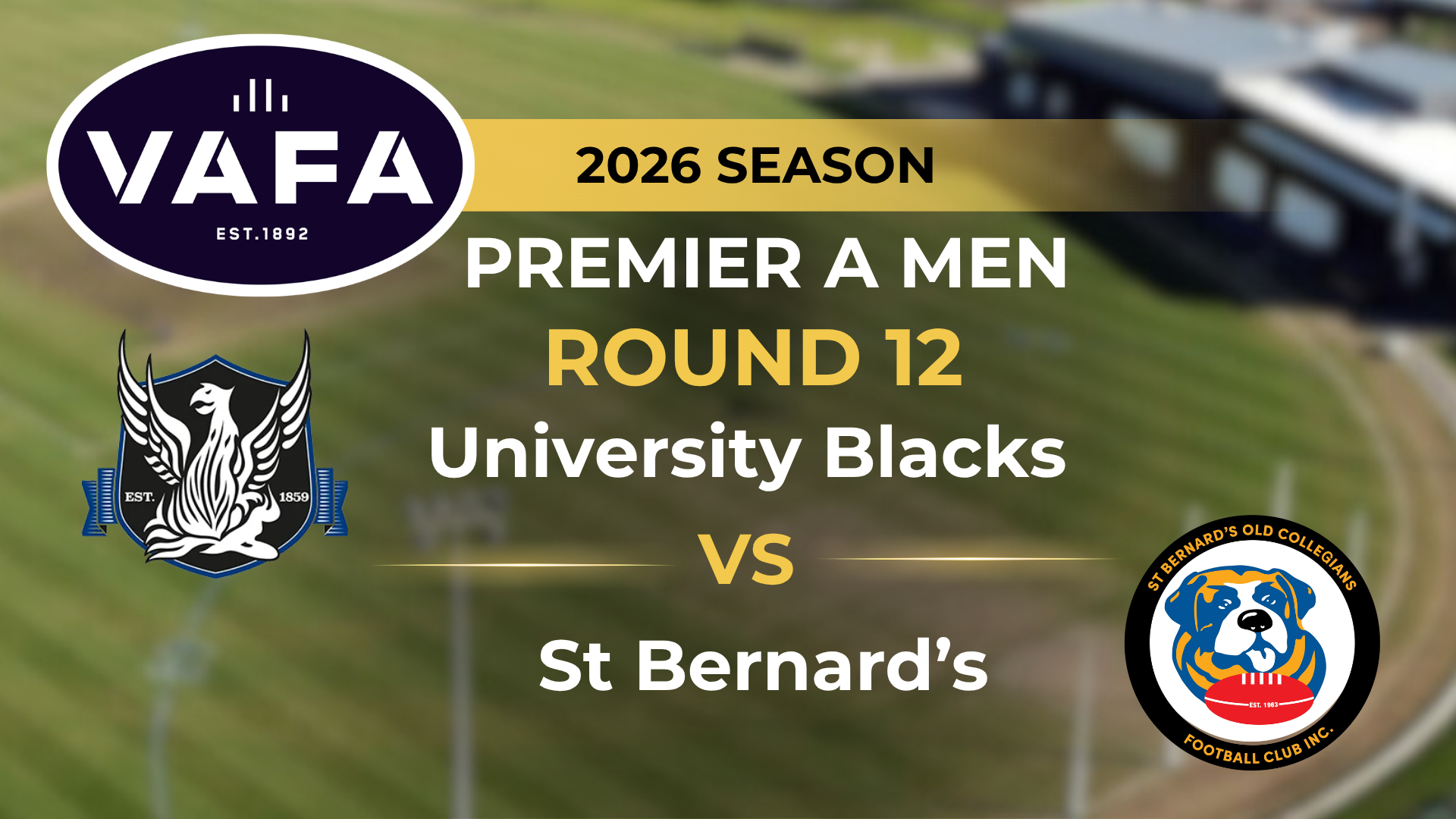 VAFA 2026 R12 PREM A Men's University Black V St. Bernard's