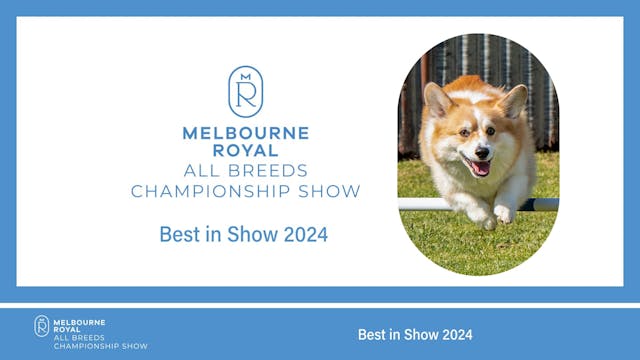 2024 Melbourne Royal All Breeds Champ...