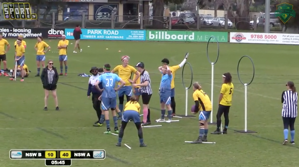 2019 Quidditch State Shield