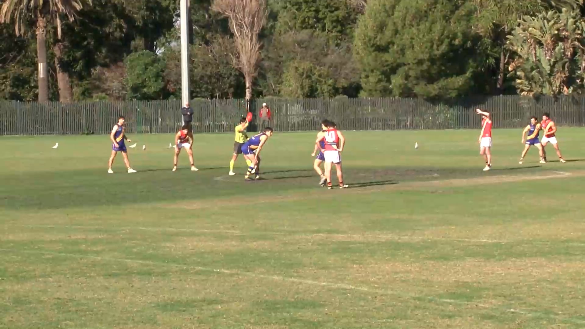 2024 RD9 PREM B Williamstown CYMS vs. St Bedes Mentone