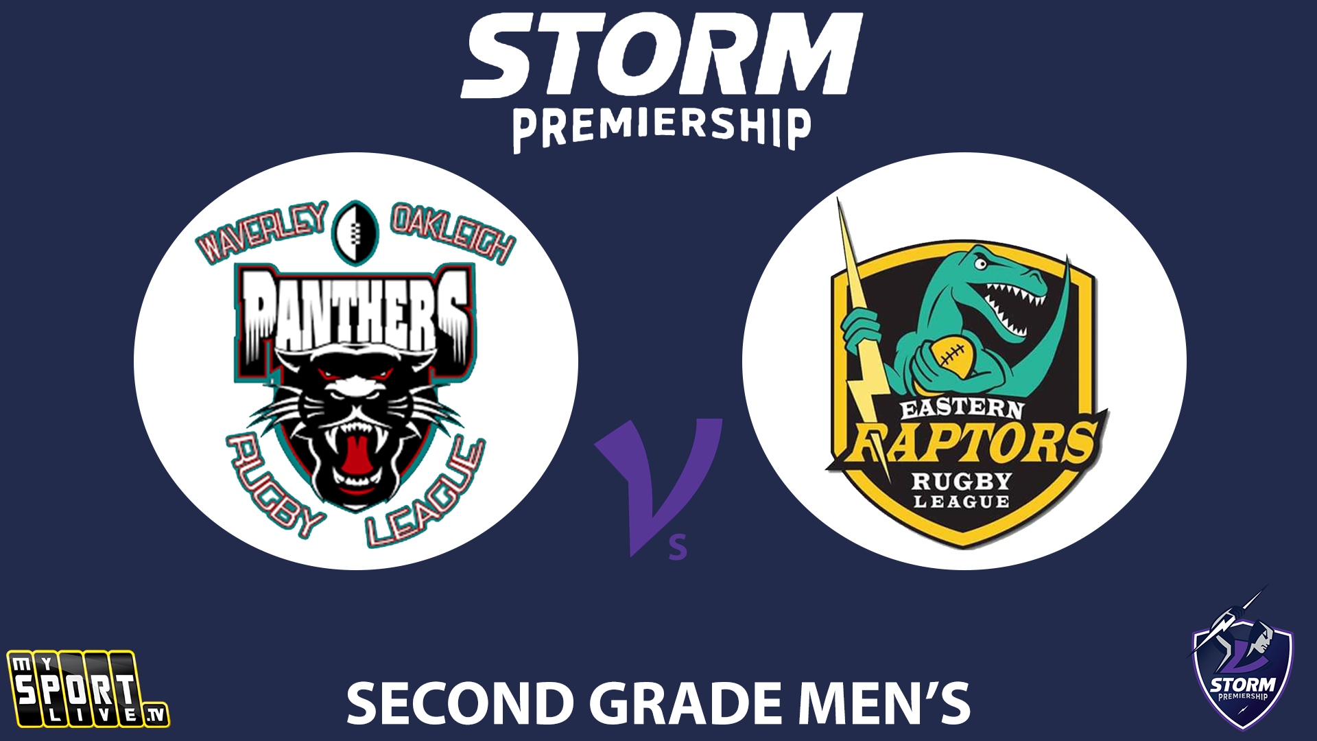 H1 2024 R9 Second Grade Men's: Waverley Panthers vs. Eastern Raptors