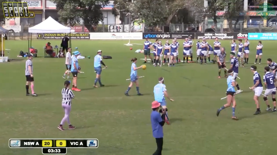 2019 Quidditch State Shield