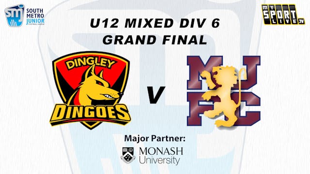 U12 Mixed Div 6 Grand Final Dingley D...