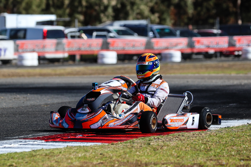 AKC RD3 - Saturday Afternoon Heats