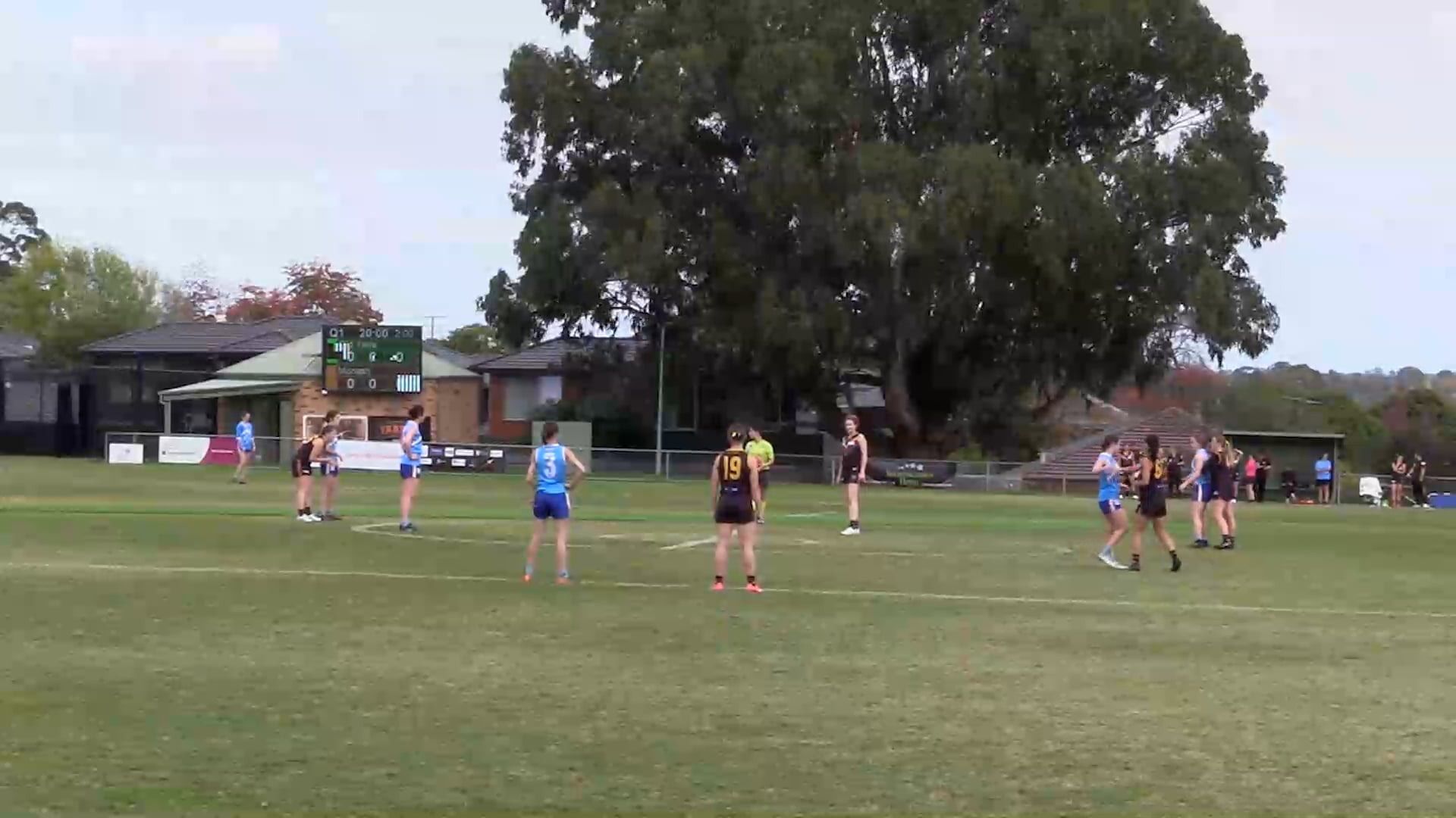 2024 RD2 PREM W Old Yarra Cobras vs. Monash Blues