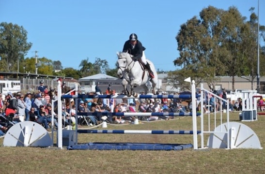 World Cup Showjumping