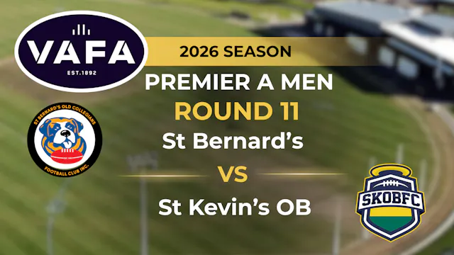 VAFA 2026 R11 PREM A Men's St. Bernar...