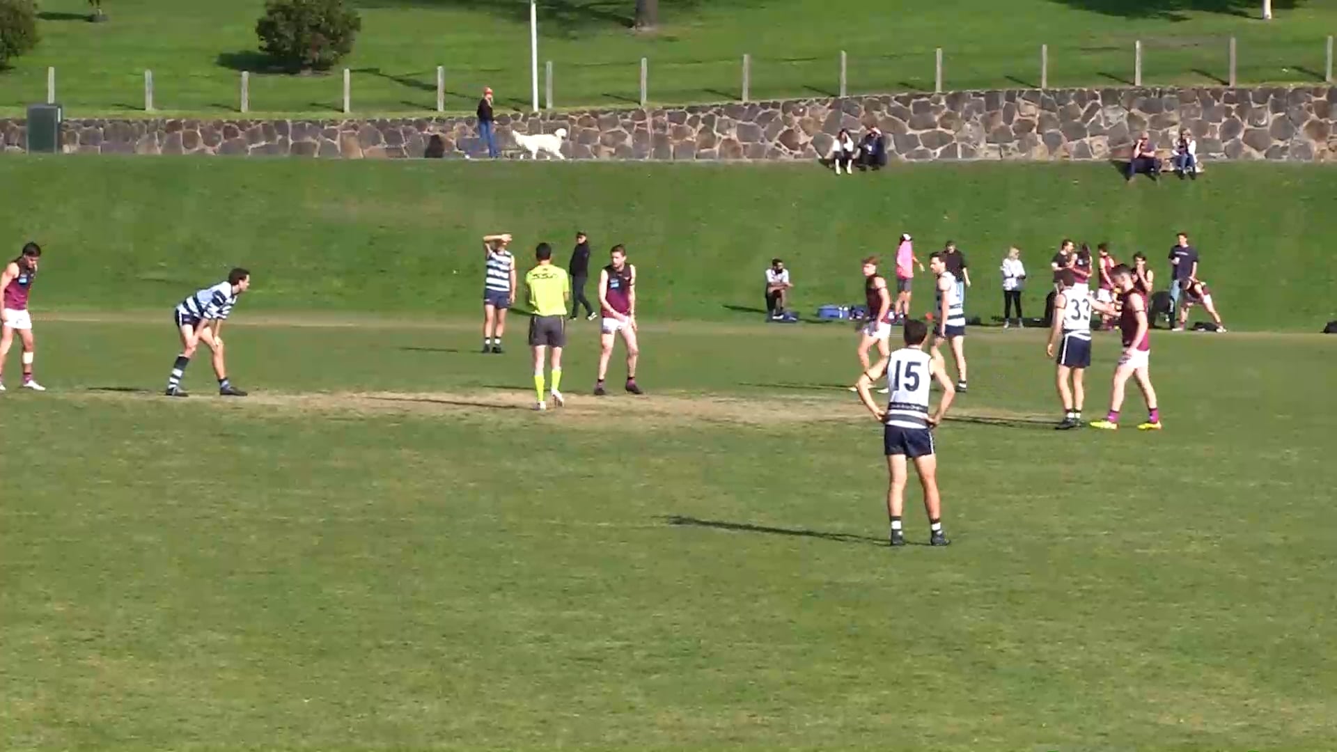 2024 RD7 PREM B Old Geelong vs. Haileybury