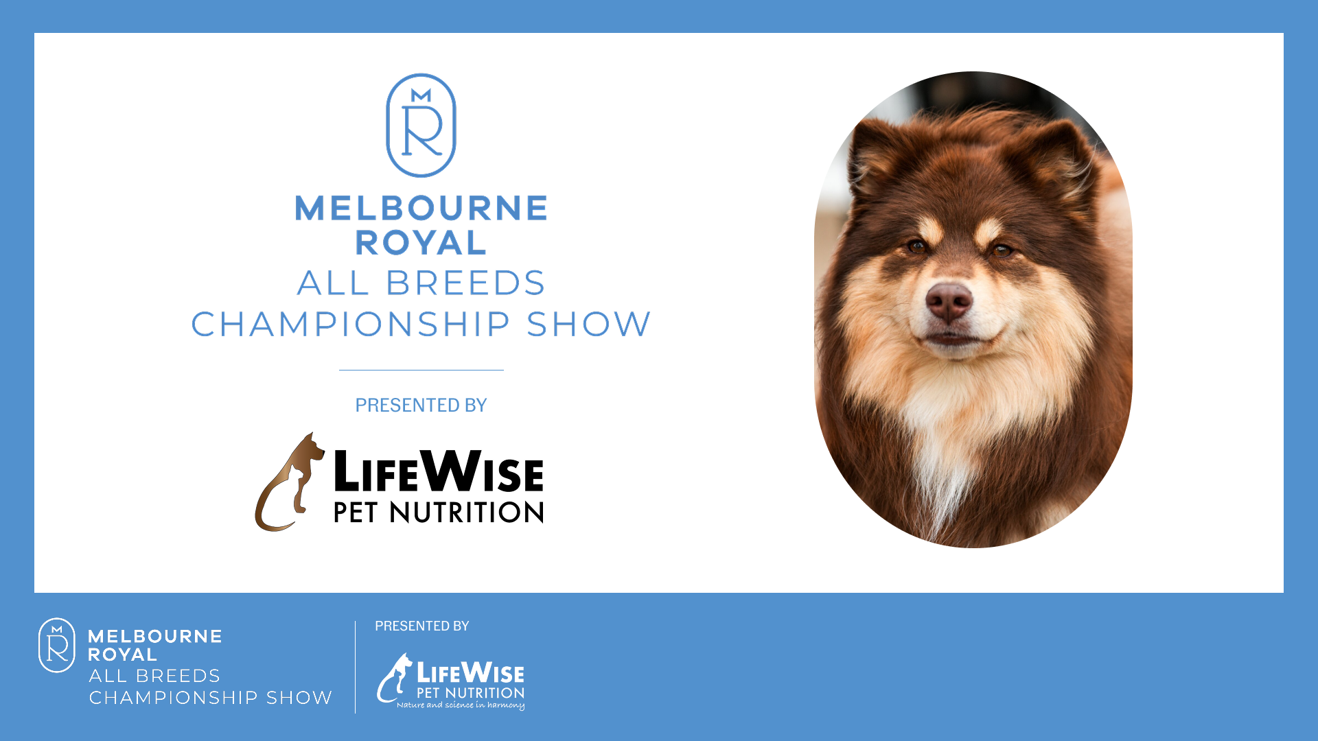 2026 Melbourne Royal All Breeds Championship Show