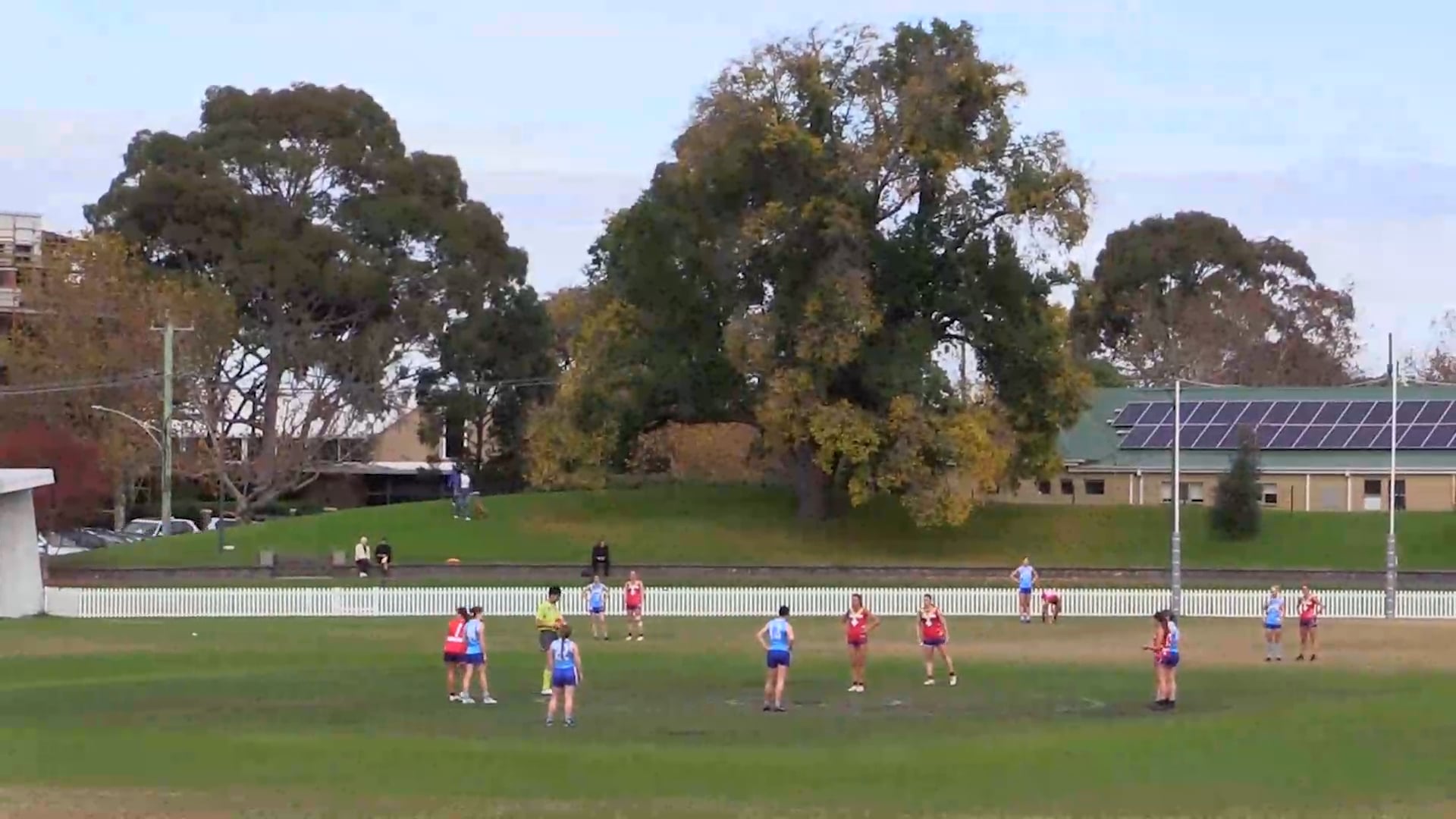 2024 RD5 PREM W Old Scotch vs Monash Blues