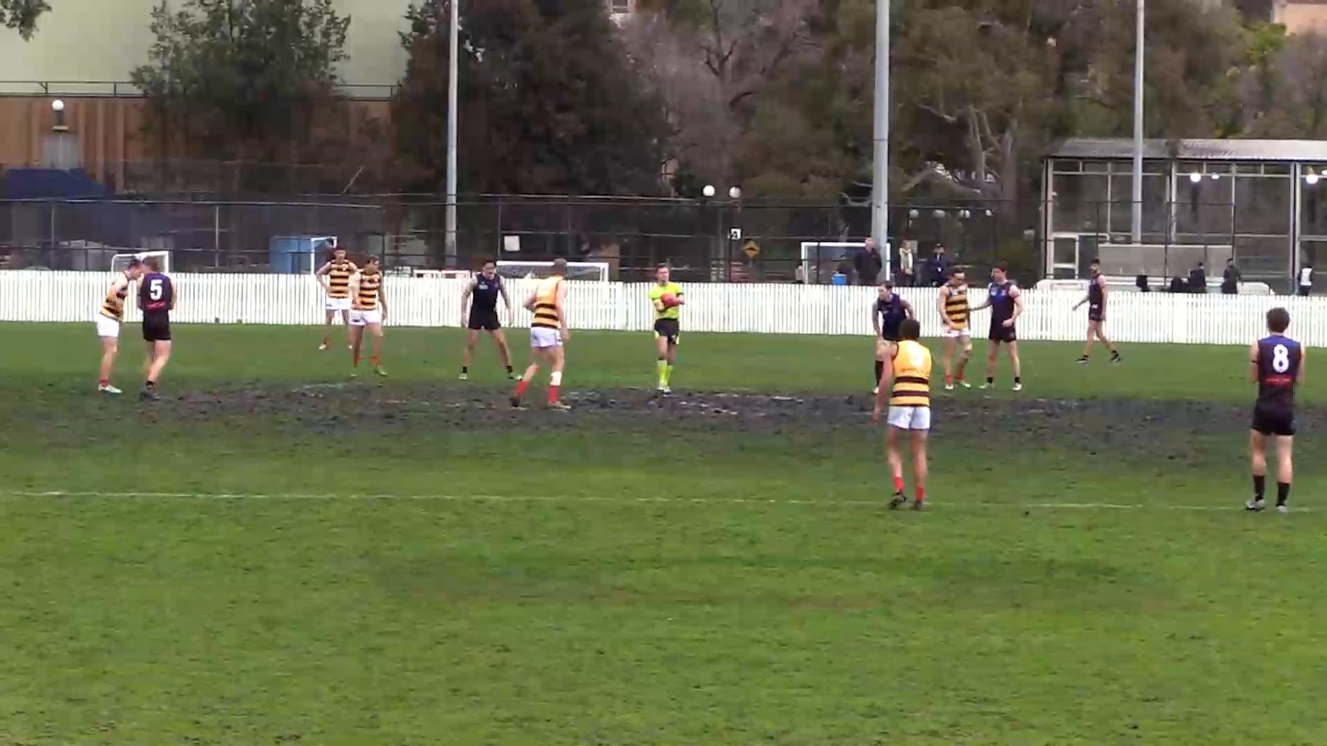 2024 RD14 PREM A University Blacks vs. Old Melburnians