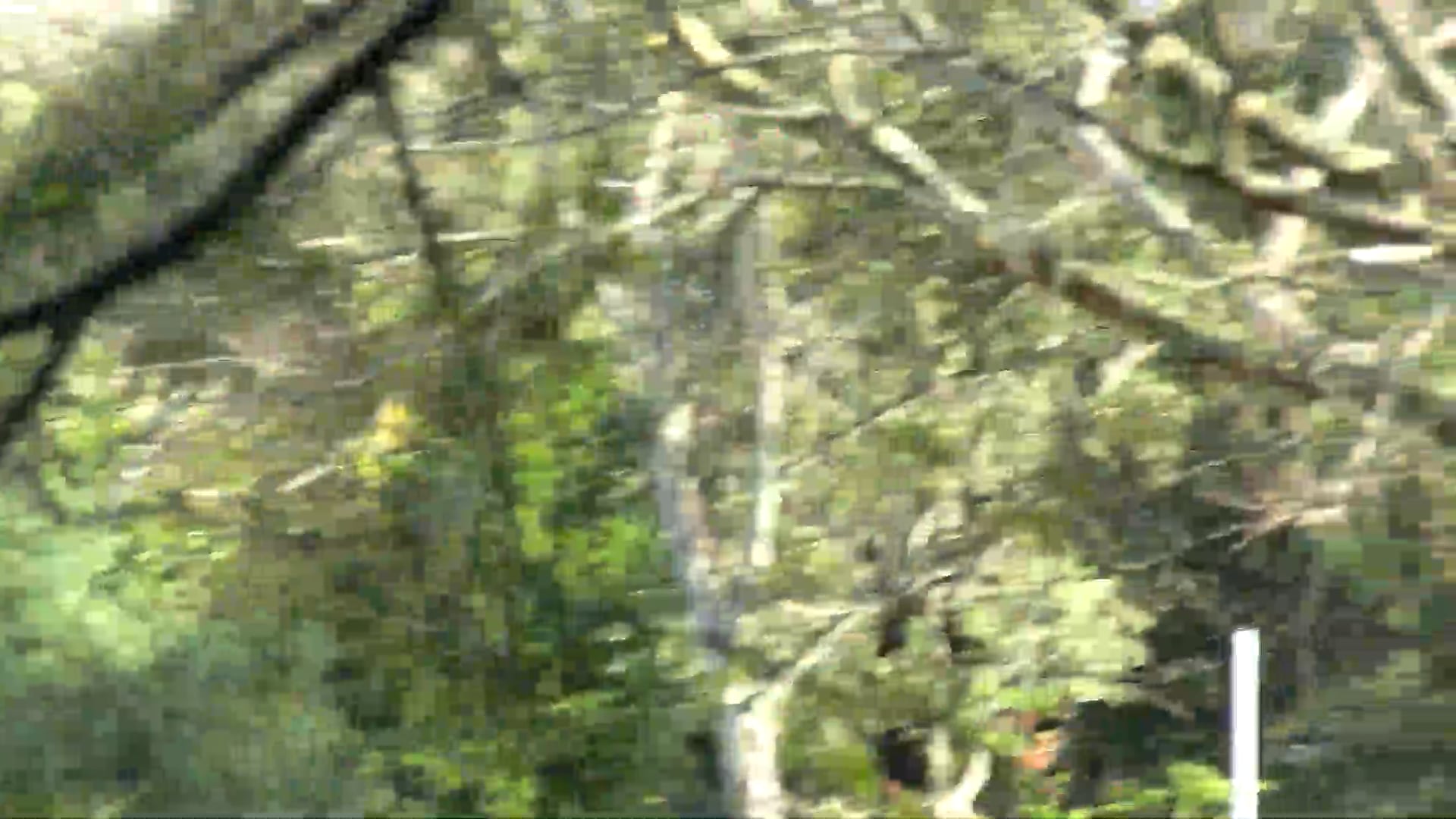 2024 RD9 PREM W St Kevins vs. Old Scotch