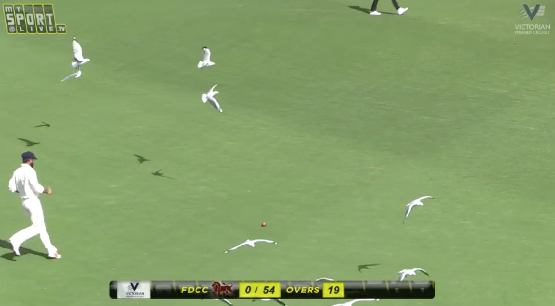 2018 Men's Premier Cricket Grand Final - DAY 2 (SESSION 3)