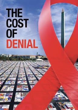 The Cost of Denial
