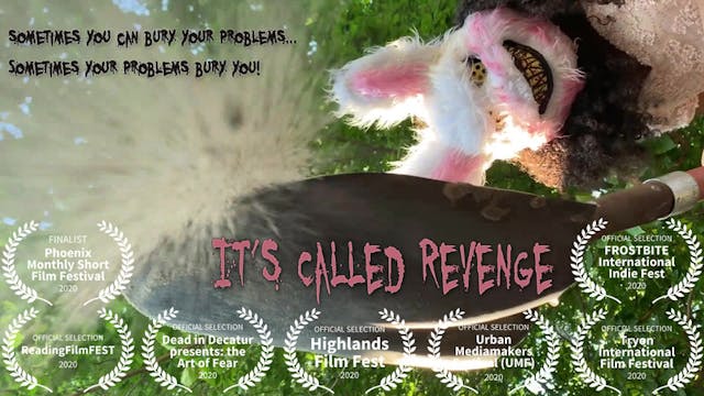 It's Called Revenge