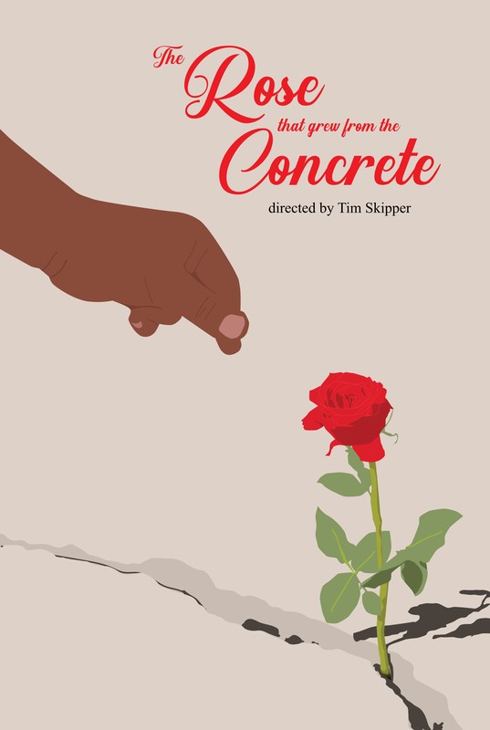 The Rose that Grew from the Concrete