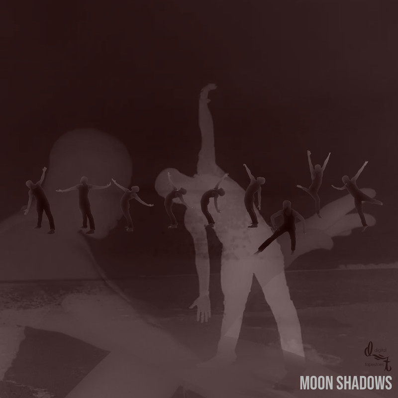 Moon Shadows