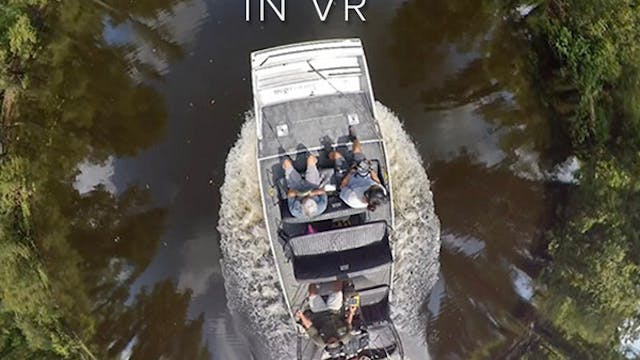 The Great Atchafalaya Basin in VR