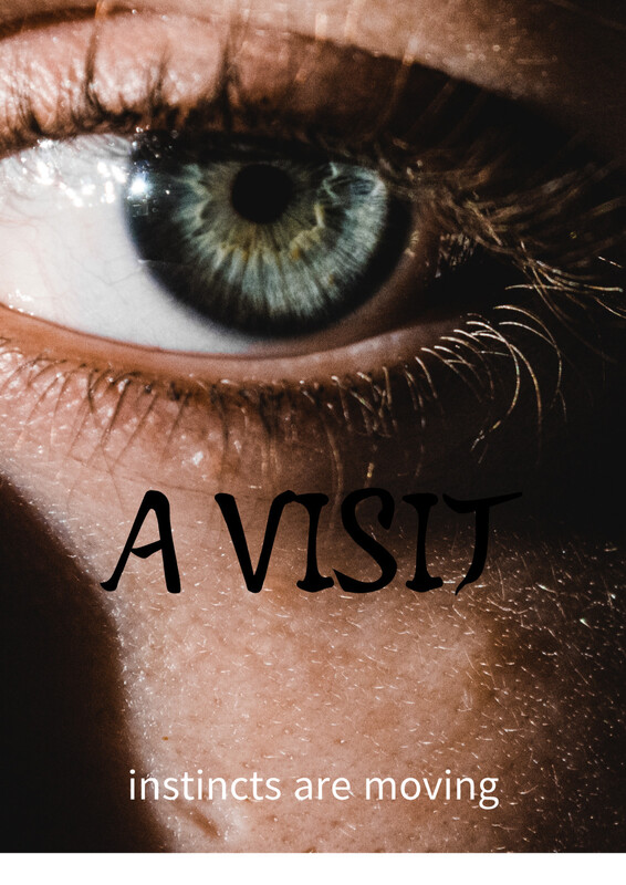 A Visit