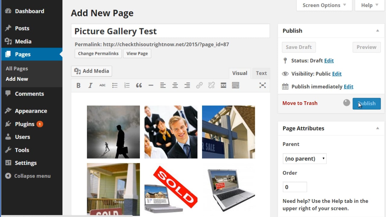 Wordpress Customization: 9 - Photo Galleries
