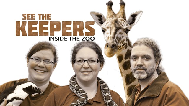 See the Keepers: Inside the Zoo