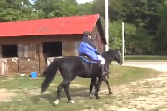 On The Trail With Gayle - Podcast 10 - Road Trip Part 2