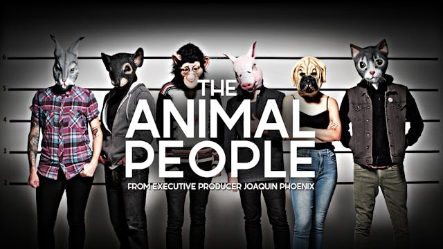 The Animal People