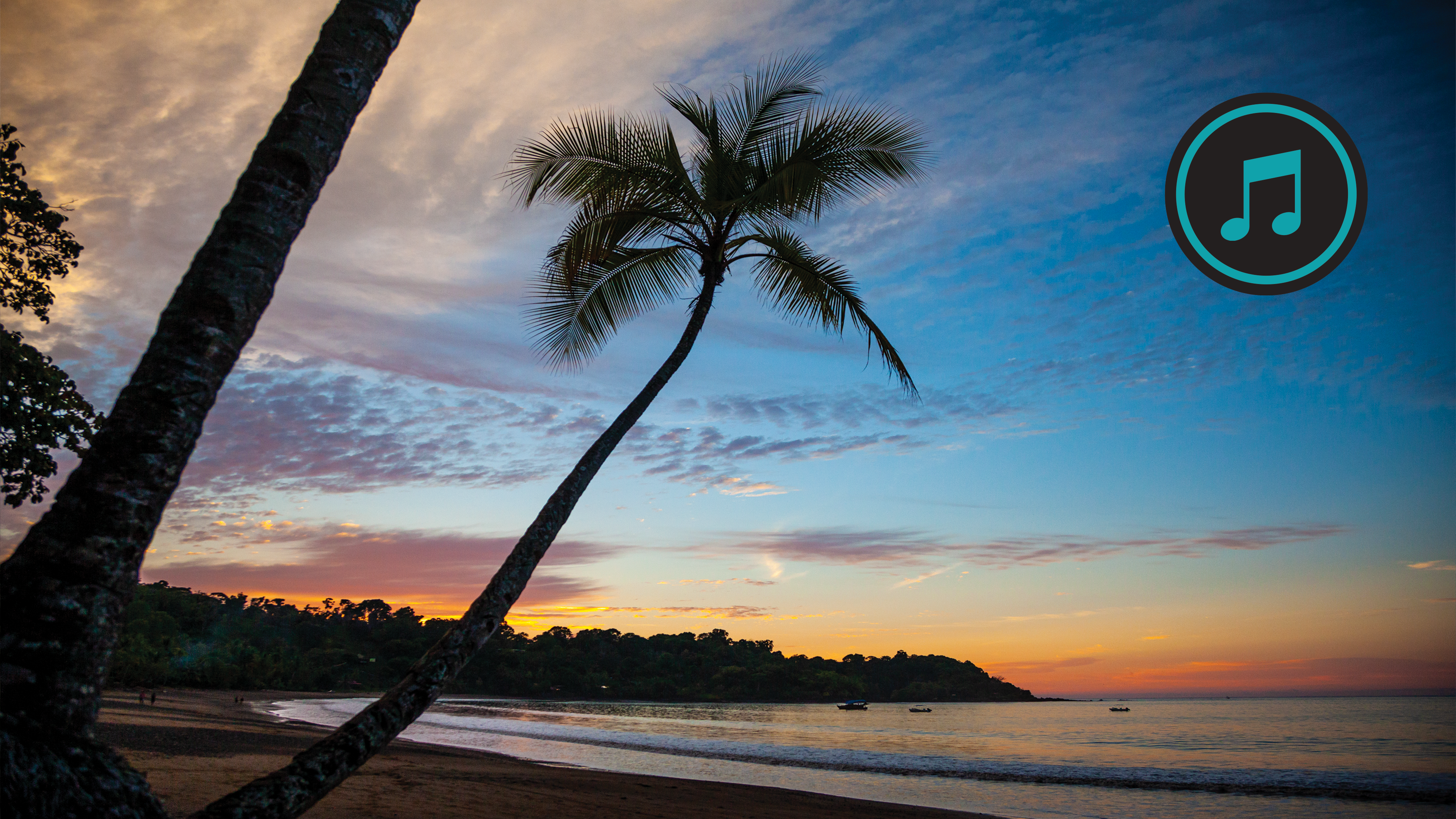 Tropical Beaches Run