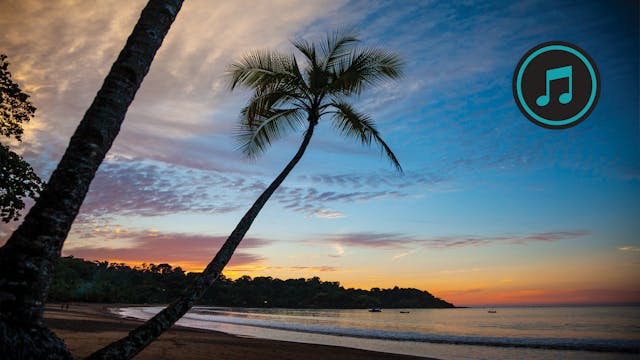 Tropical Beaches Run
