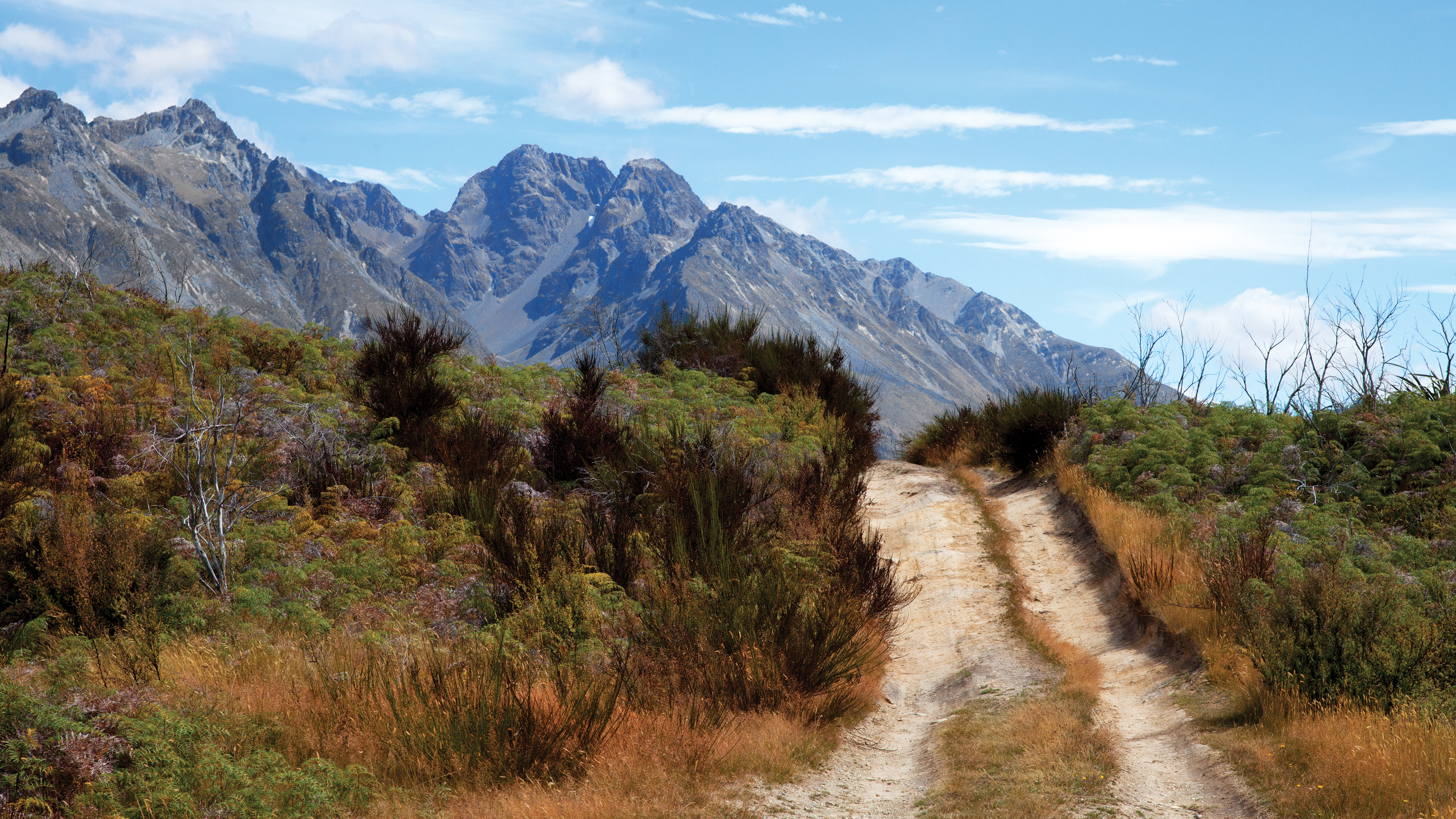 South Island, New Zealand Bike
