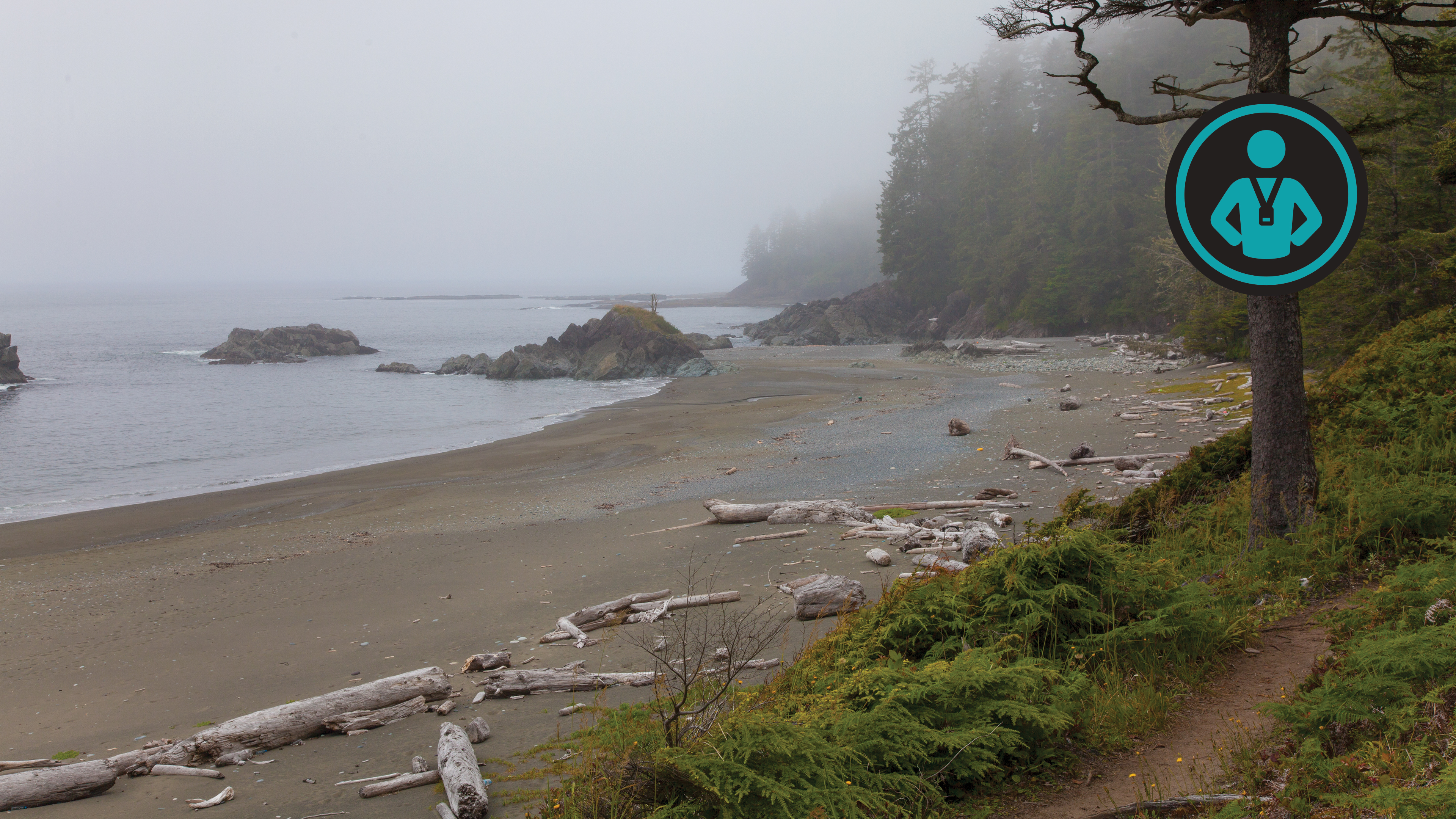 British Columbia Coast Hike | Johnny