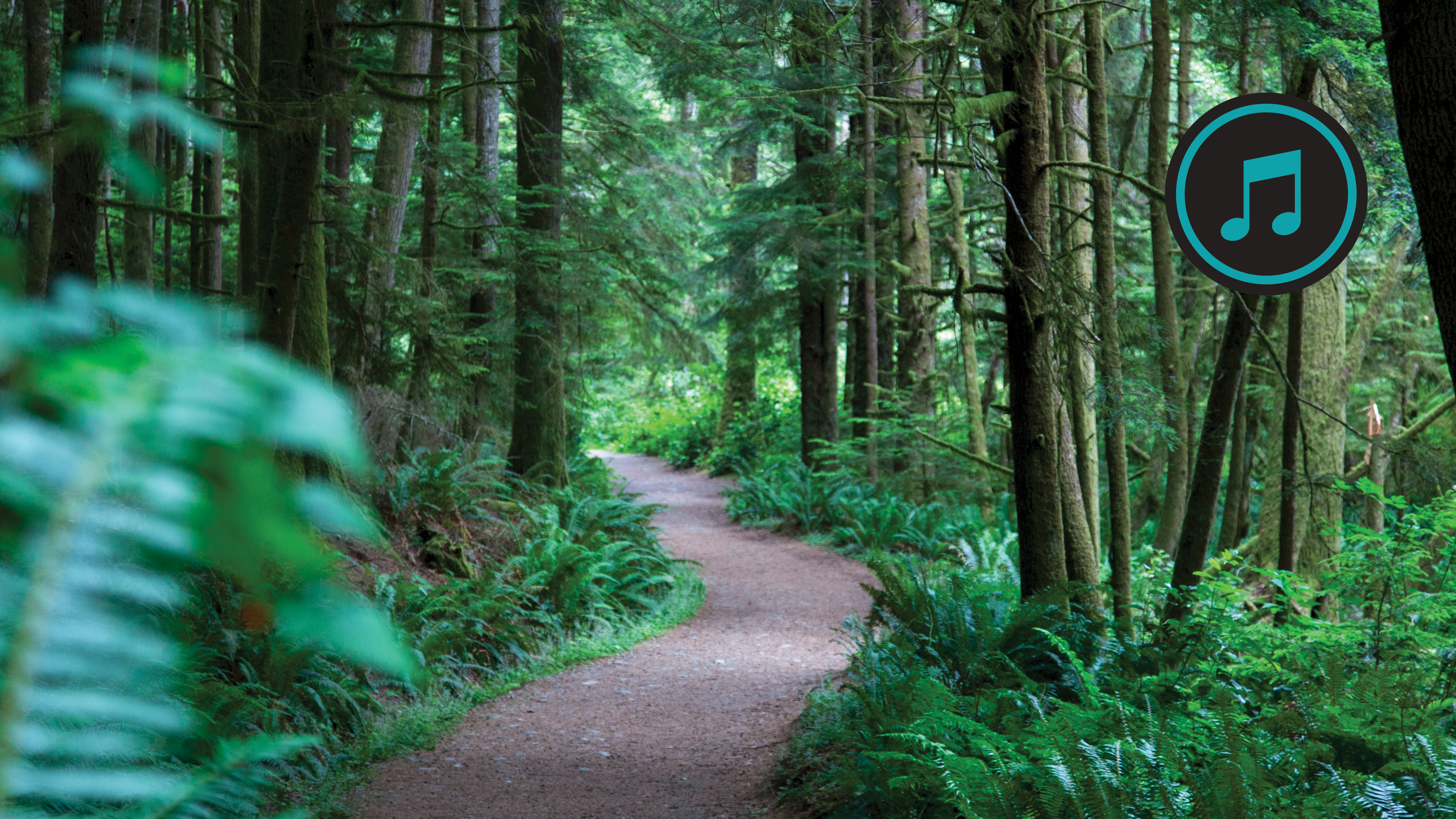 British Columbia Coast Run