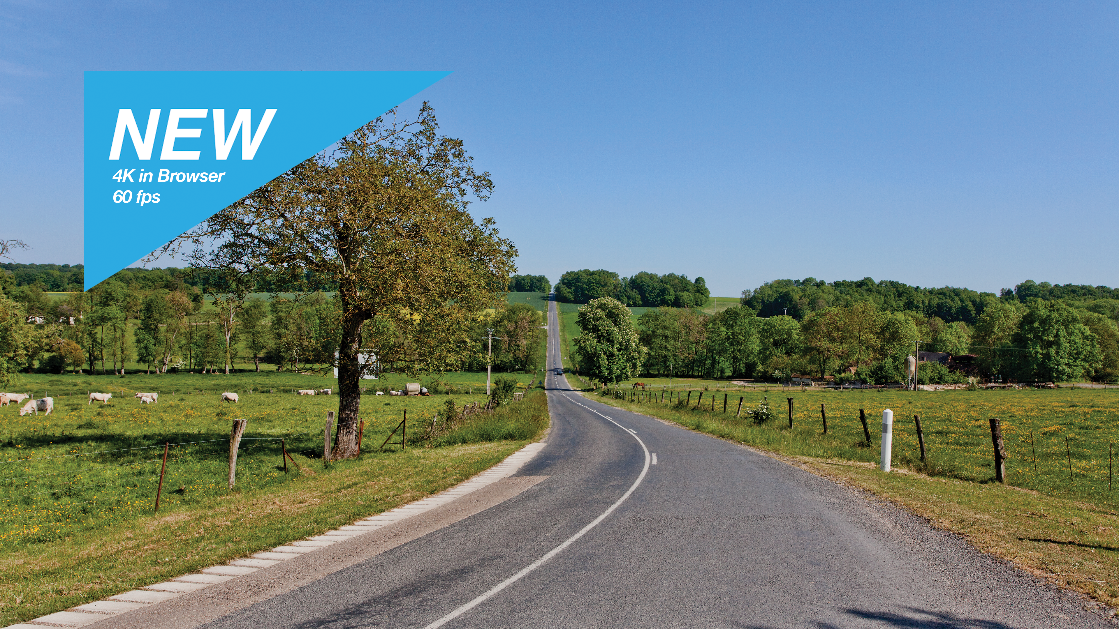 Champagne Vineyards Route