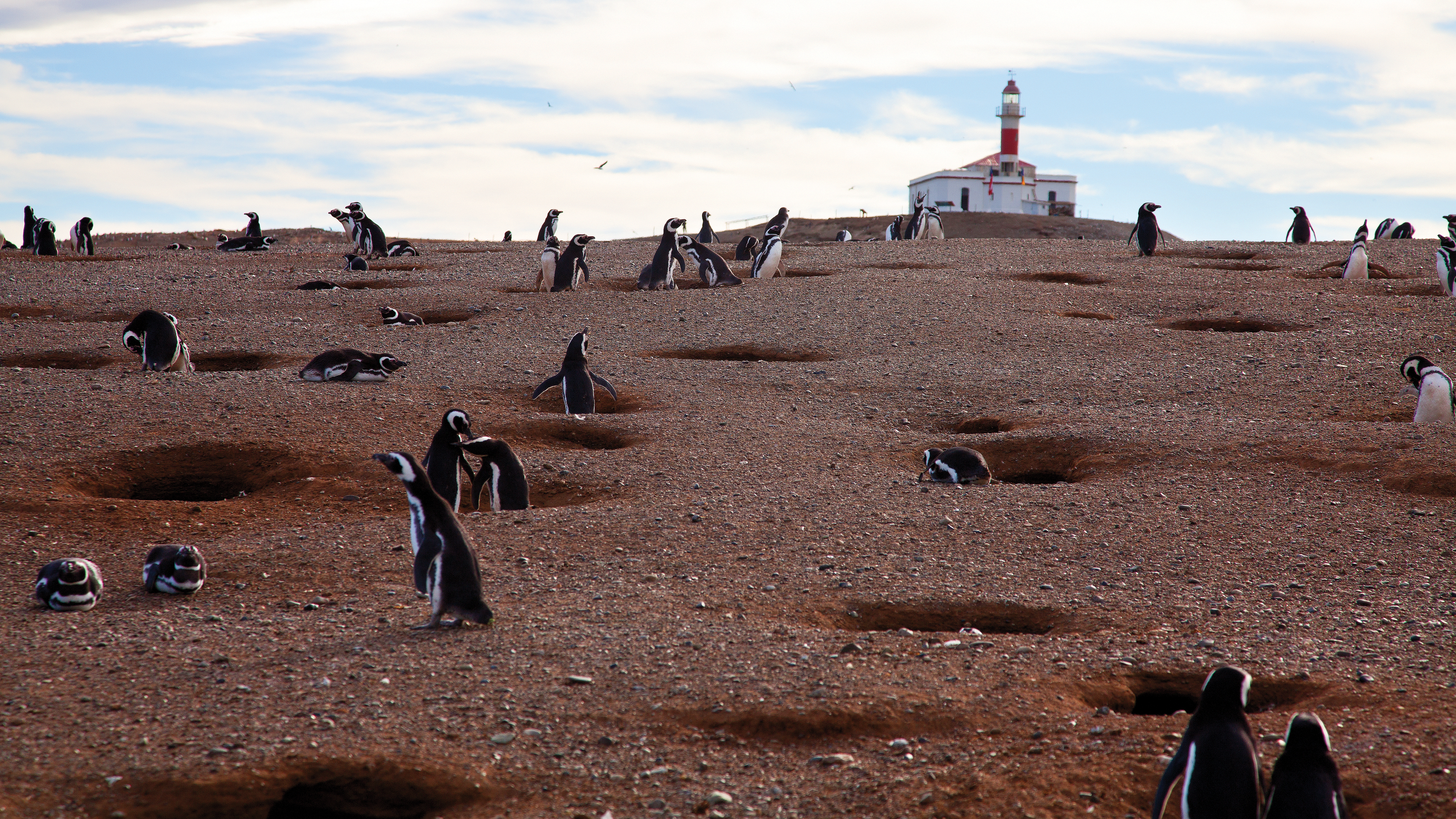 Chilean Patagonia Hike