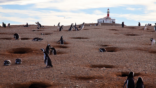 Chilean Patagonia Hike