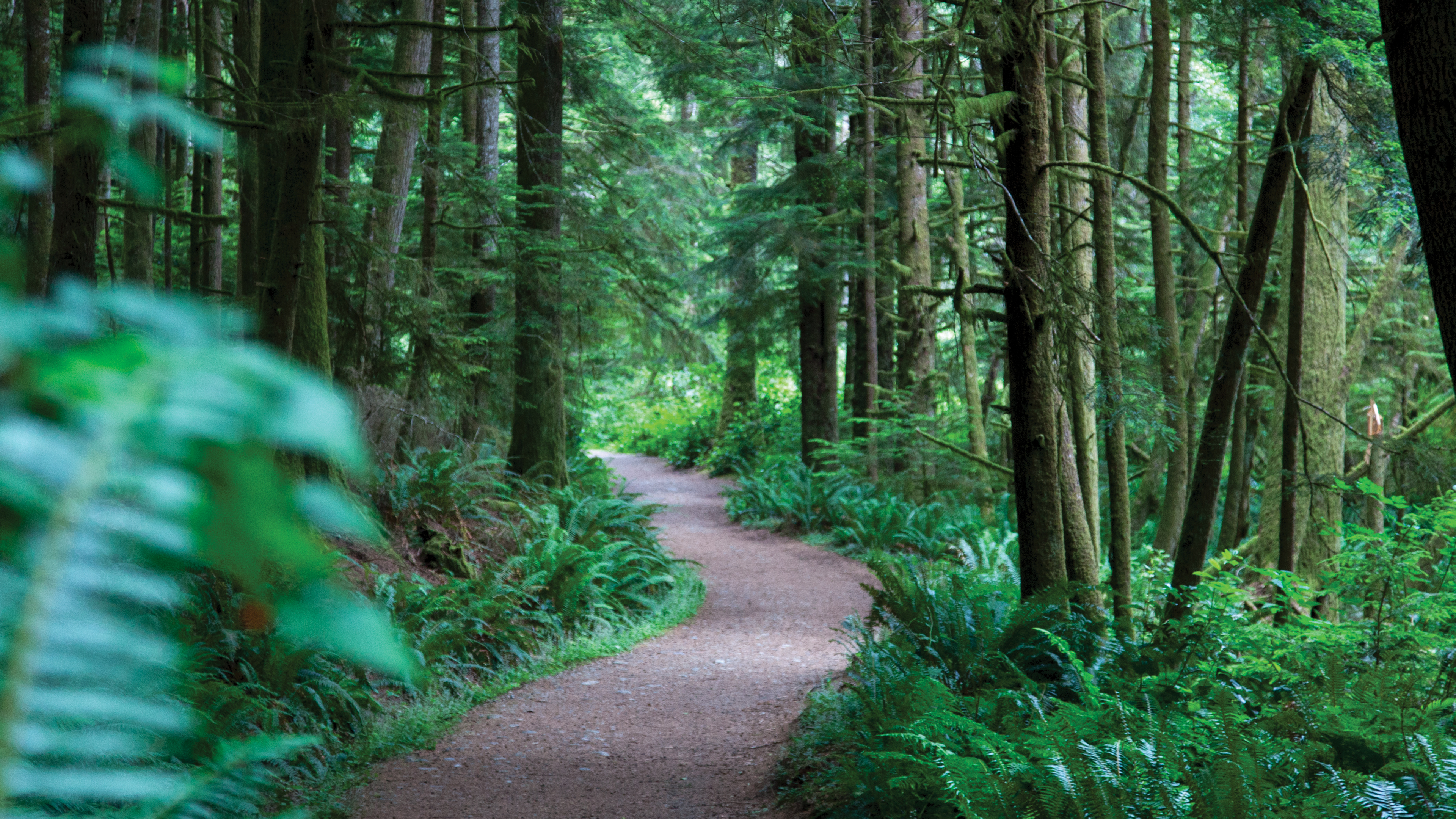 British Columbia Coast Run