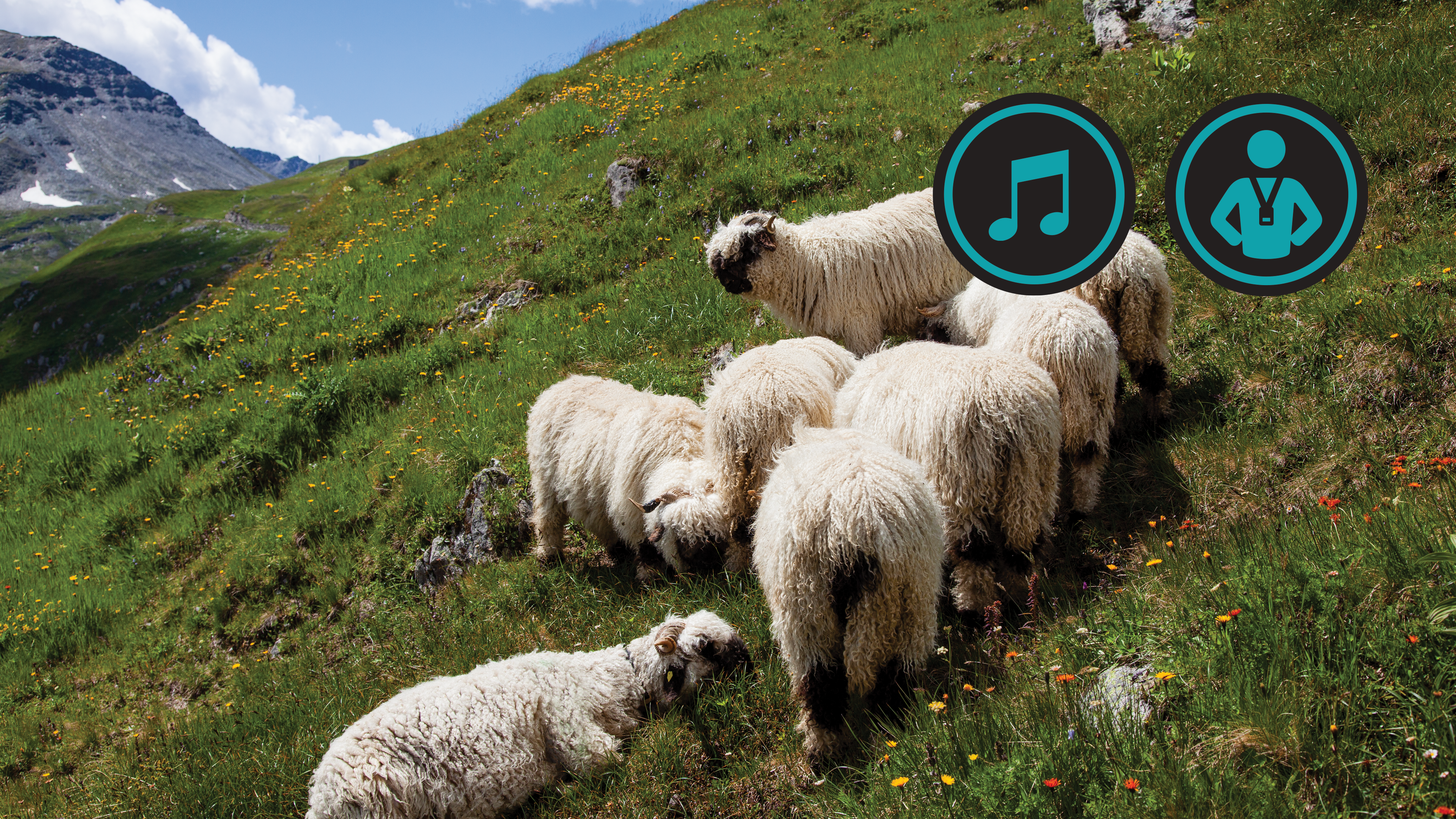 Swiss Alps Bike | Jim