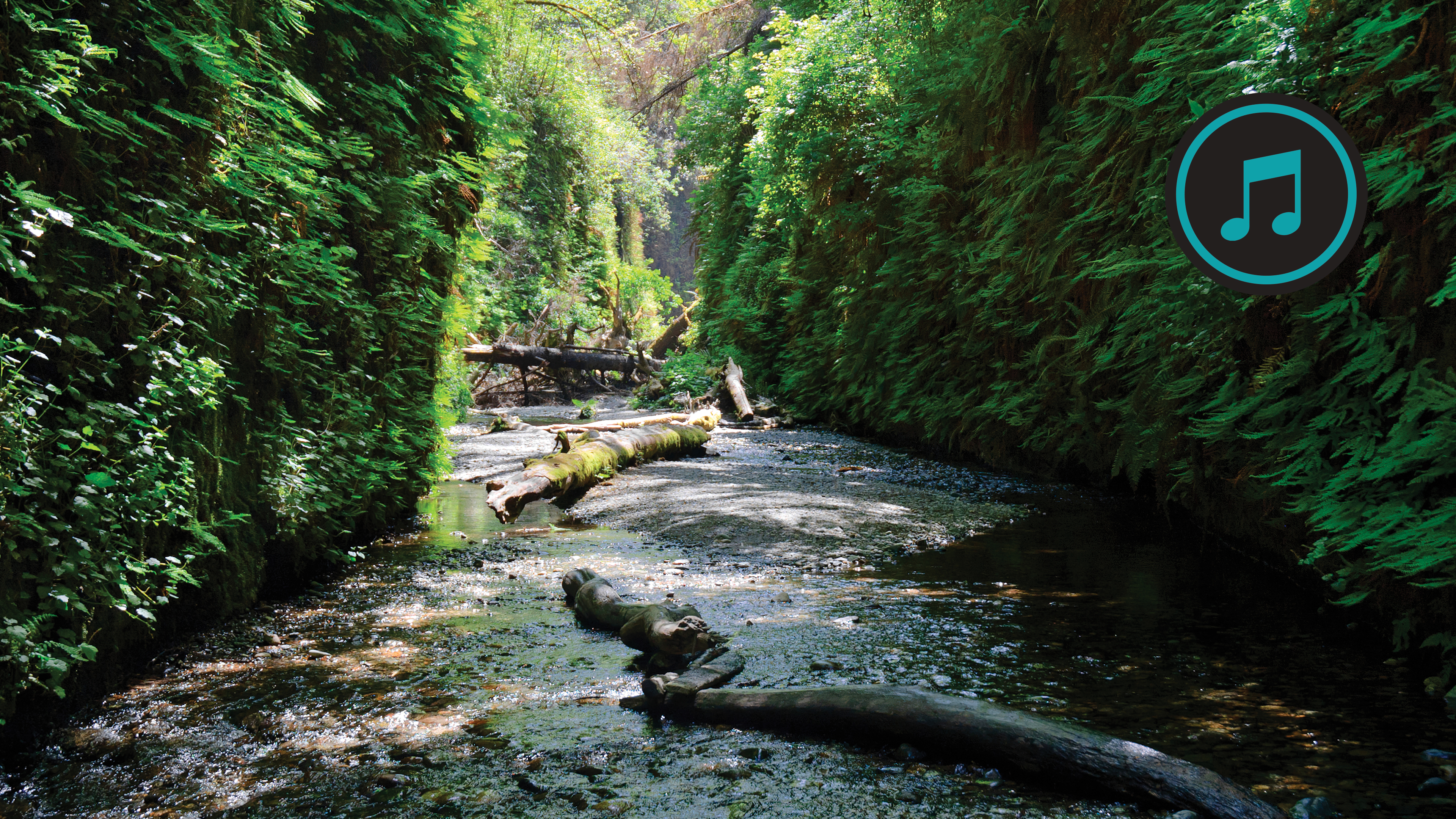 Trinity Mountains Hike