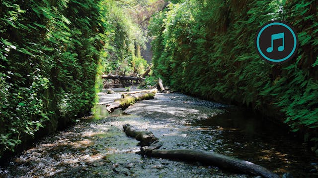 Trinity Mountains Hike