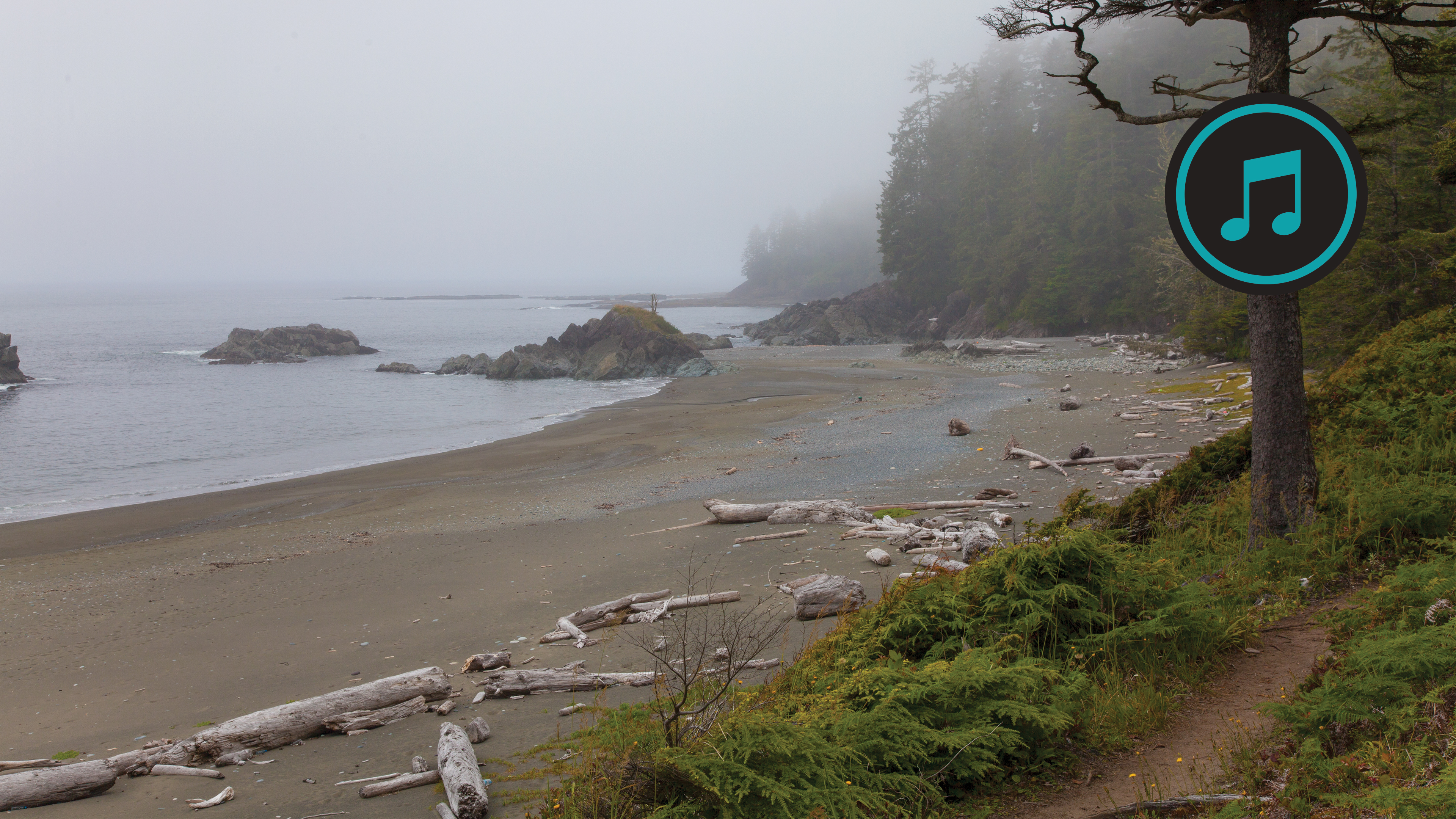 British Columbia Coast Hike
