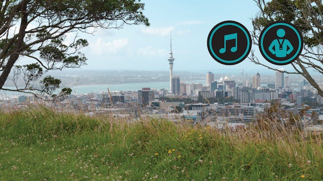 Auckland and Wellington Run | Johnny