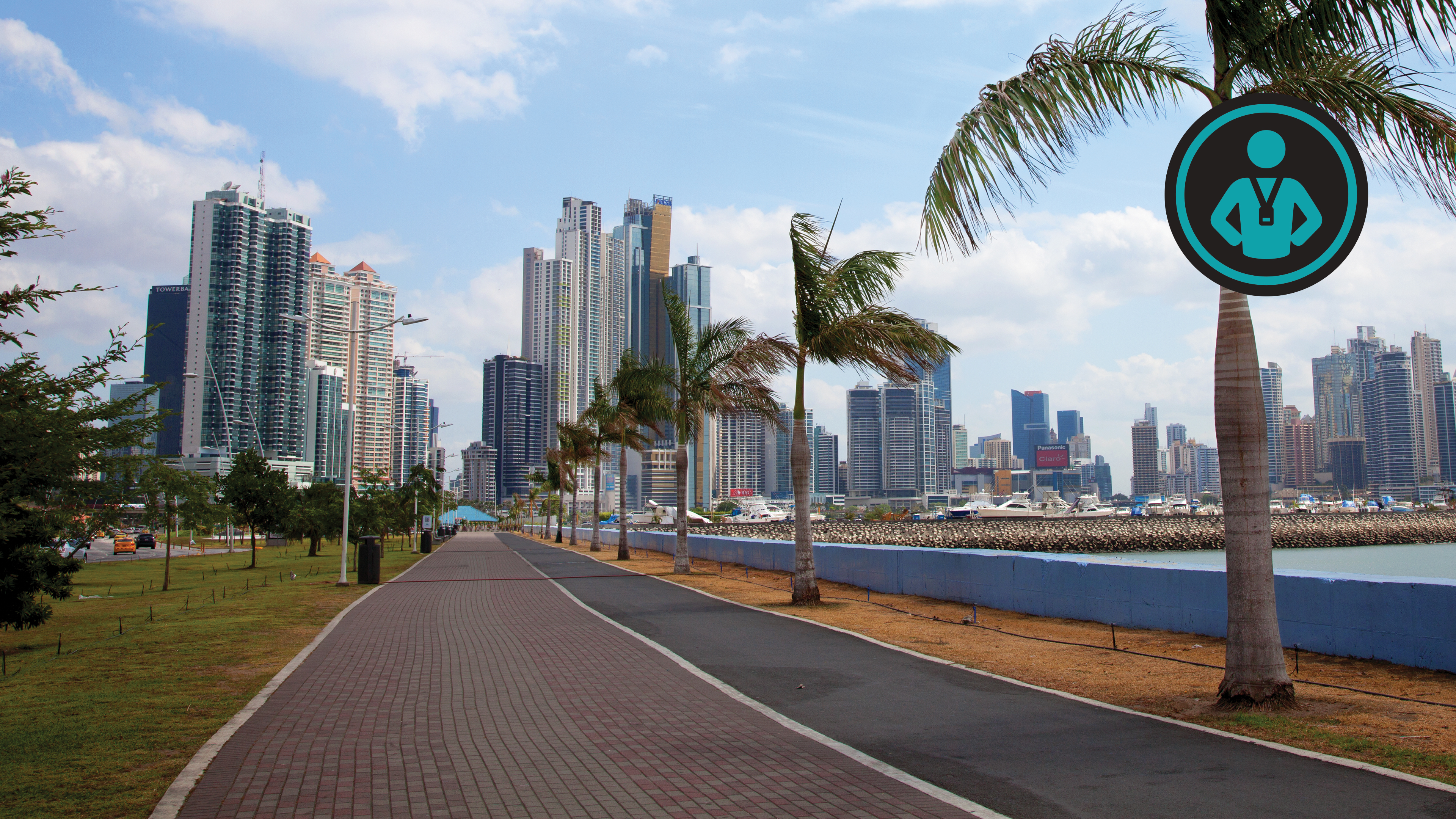 Panama Bike | Elliott